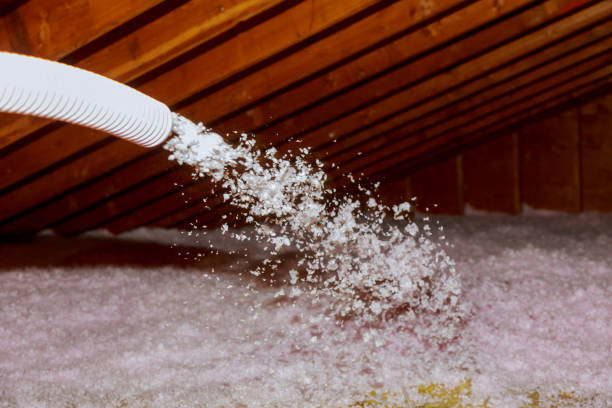 Best Commercial Insulation in Lansing, KS