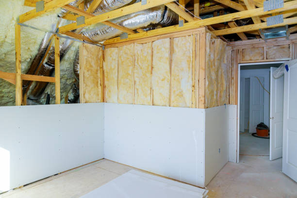 Best Insulation Installation Services in Lansing, KS