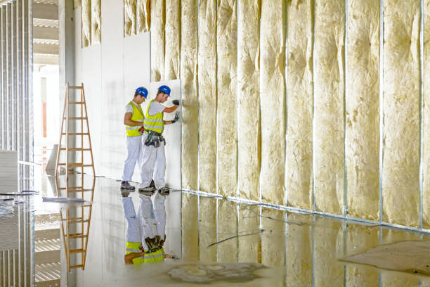 Best Insulation Materials and Products in Lansing, KS